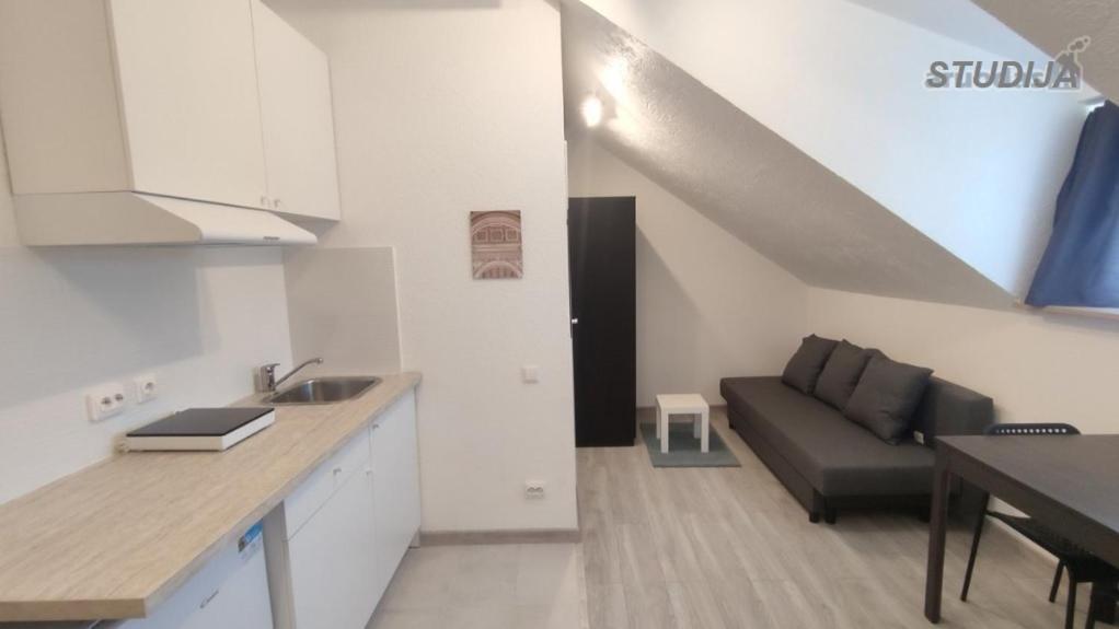 Miko Apartamentai Каунас Екстер'єр фото